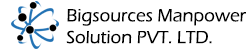 BIGSOURCES.IN LOGO